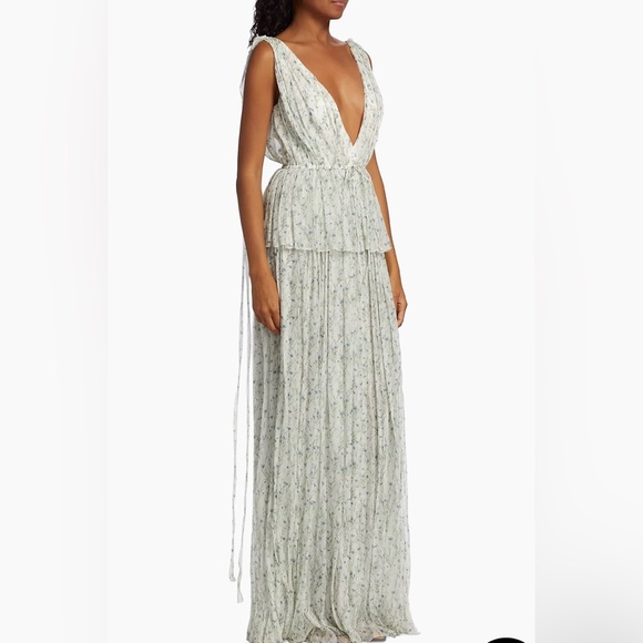 ADAM LIPPES— Dendur Floral Drawstring Gown *NEW WITH TAGS NEVER WORN* - Picture 3 of 8